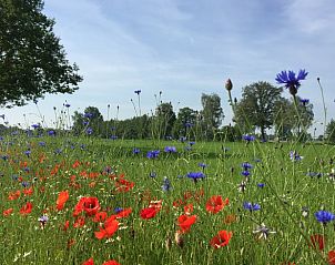 Guest house 291604 - Holiday property Achterhoek - Vakantiehuisje in Sinderen