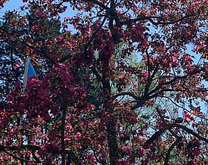 Guest house 291605 - Holiday property Achterhoek - Vakantiehuis in Sinderen