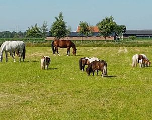 Guest house 291606 - Holiday property Achterhoek - Huisje in Sinderen