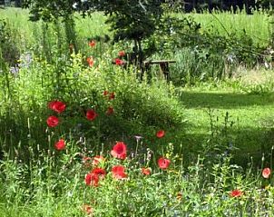 Guest house 291706 - Holiday property Achterhoek - GROEPSACCOMMODATIE