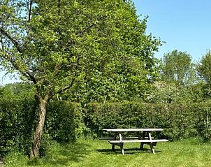 Rustieke picknicktafel onder een boom bij Huisje in Aalten, vakantiehuis in Achterhoek, Gelderland.