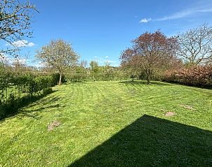 Uitgestrekte groene tuin van Huisje in Aalten, vakantiehuis in Aalten, Achterhoek, ideaal voor ontspanning.