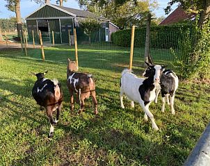 Guest house 291728 - Holiday property Achterhoek - DG470