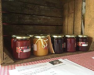 Guest house 291729 - Holiday property Achterhoek - DG471