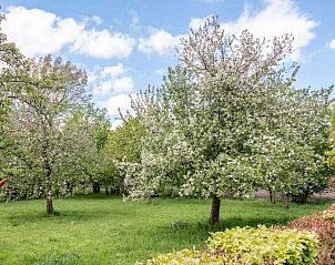 Guest house 291730 - Holiday property Achterhoek - DG695