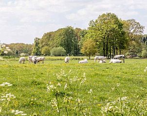 Guest house 291730 - Holiday property Achterhoek - DG695