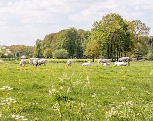 Guest house 291731 - Holiday property Achterhoek - DG696