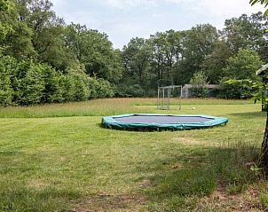 Guest house 291731 - Holiday property Achterhoek - DG696