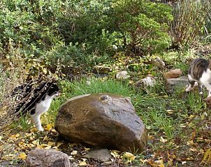 Verblijf 291750 - Vakantiewoning Achterhoek - Vakantiehuis in Aalten