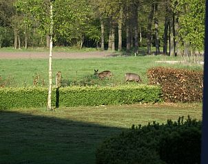 Verblijf 291750 - Vakantiewoning Achterhoek - Vakantiehuis in Aalten