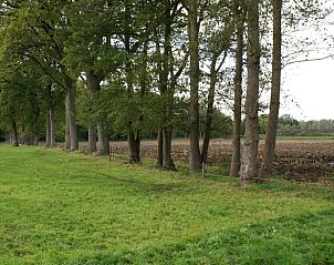 Verblijf 291750 - Vakantiewoning Achterhoek - Vakantiehuis in Aalten