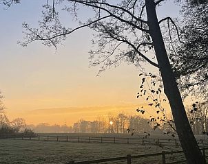 Guest house 291754 - Holiday property Achterhoek - Huisje in Aalten