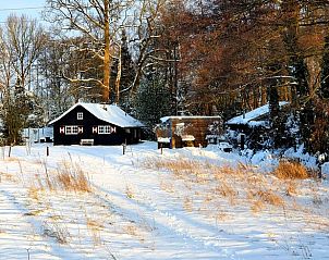 Snow landscape at Holiday home in Aalten, Achterhoek, Gelderland, surrounded by winter nature and serene forests.
