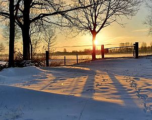 Winter landscape at Holiday home in Aalten, Achterhoek, Gelderland with snowy fields and sunrise for a serene vacation experience.