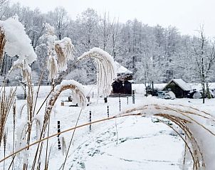 Winter landscape at Holiday home in Aalten, Achterhoek, with snowy nature and peaceful surroundings in Gelderland.