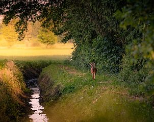 Guest house 291756 - Holiday property Achterhoek - Vakantiehuisje in Aalten