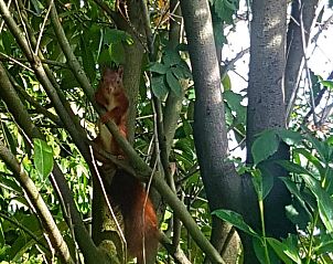 Guest house 291756 - Holiday property Achterhoek - Vakantiehuisje in Aalten