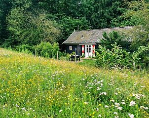 Guest house 291756 - Holiday property Achterhoek - Vakantiehuisje in Aalten