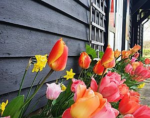 Guest house 291756 - Holiday property Achterhoek - Vakantiehuisje in Aalten