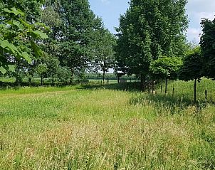 Guest house 291756 - Holiday property Achterhoek - Vakantiehuisje in Aalten