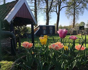 Guest house 291775 - Holiday property Achterhoek - DG529