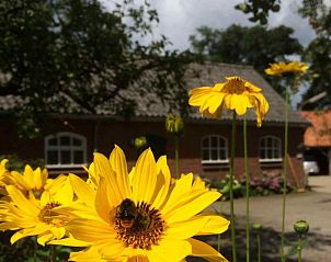 Guest house 291775 - Holiday property Achterhoek - DG529