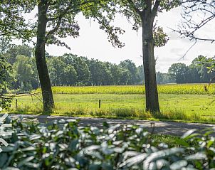 Guest house 291780 - Holiday property Achterhoek - DG994