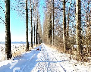 Sneeuwwandeling in de omgeving van vakantiehuis DG1466, Aalten, Achterhoek, Gelderland.