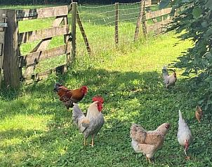 Verblijf 291789 - Vakantiewoning Achterhoek - Huisje in Aalten