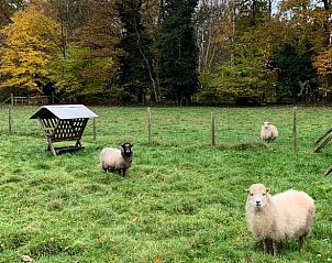 Guest house 291789 - Holiday property Achterhoek - Huisje in Aalten