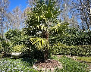 Guest house 291793 - Holiday property Achterhoek - Vakantiehuisje in Aalten