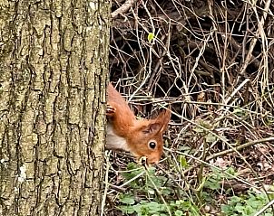 Guest house 291793 - Holiday property Achterhoek - Vakantiehuisje in Aalten