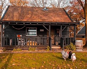 Verblijf 291815 • Vakantiewoning Achterhoek • Huisje in Laren 