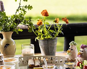 Verblijf 291815 - Vakantiewoning Achterhoek - Huisje in Laren