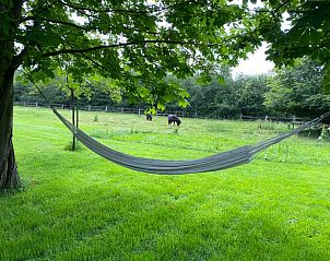 Hangmat in de tuin van Huisje in Laren (GLD), vakantiehuis in de Achterhoek, Gelderland voor ultieme ontspanning.