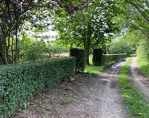 Landelijke oprijlaan naar Huisje in Laren (GLD), vakantiehuis in de Achterhoek, Gelderland omgeven door natuur.