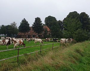 Guest house 291903 - Holiday property Achterhoek - Vakantiehuisje in Vragender