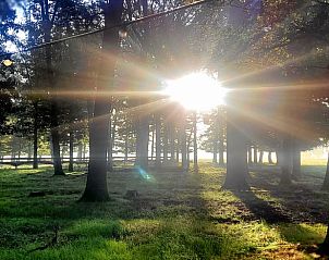 Guest house 291906 - Holiday property Achterhoek - Vakantiehuis in Vragender