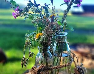 Guest house 291906 - Holiday property Achterhoek - Vakantiehuis in Vragender