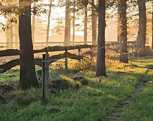 Guest house 291906 - Holiday property Achterhoek - Vakantiehuis in Vragender