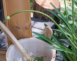 Guest house 291907 - Holiday property Achterhoek - Vakantiehuisje in Vragender