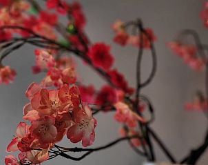 Guest house 291907 - Holiday property Achterhoek - Vakantiehuisje in Vragender