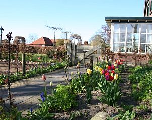 Guest house 292004 - Holiday property Achterhoek - Vakantiehuis in Groenlo