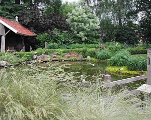 Guest house 292004 - Holiday property Achterhoek - Vakantiehuis in Groenlo