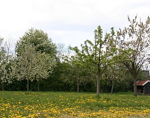 Guest house 292004 - Holiday property Achterhoek - Vakantiehuis in Groenlo