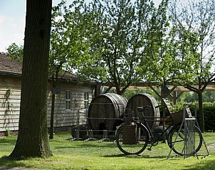 Guest house 292004 - Holiday property Achterhoek - Vakantiehuis in Groenlo