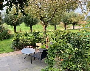 Rustgevend uitzicht vanaf het terras van Vakantiehuisje in Groenlo, Achterhoek, Gelderland.