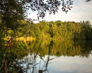 Prachtig natuuruitzicht vanaf Vakantiehuis in Groenlo, gelegen aan een serene vijver in de Achterhoek, Gelderland.