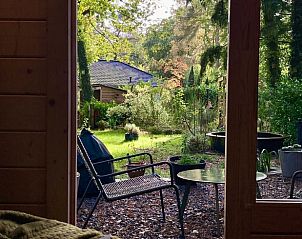 Uitzicht op de tuin vanuit Vakantiehuisje in Lochem, Achterhoek, met groene omgeving.