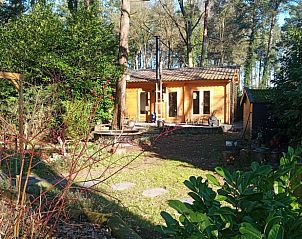 Omringende natuur rondom Vakantiehuisje in Lochem, Achterhoek, voor rustzoekers.